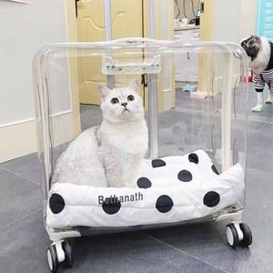 강아지 고양이 투명 이동장 백팩 핸드 배낭형 산책 대형