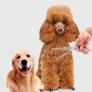 [콩심팥심]SHARP 미용가위 커팅 티타늄 강아지 고양이 블레이드