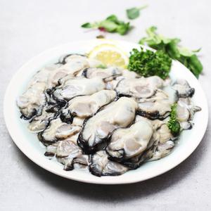 통영 햇 생굴 1kg