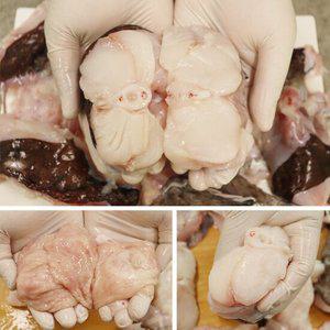 충남 서천 손질아귀 1kg내외 아귀찜 아구탕 아귀요리 흰살생선