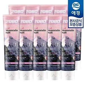 [애경][비밀] 2080 핑크솔트 치약 125g x10개