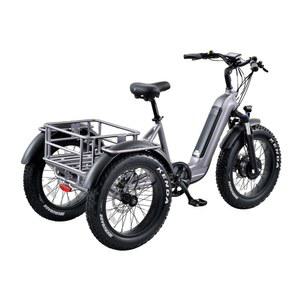 TOLOVYOIII 500W 고급형 전동 3바퀴 3륜 배달서비스 세발자전거 전기 화물