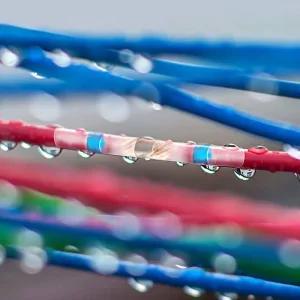 전선 납땜 열 수축 연결 방수 커넥터 슬리브 50개입 자동납땜수축튜브