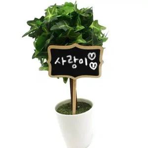 [VCMOIS5C]원목 팻말 화분 블랙보드 미니 표식 이름표