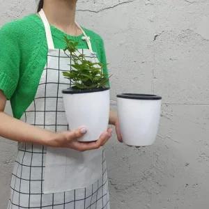 자동급수 화분 중형 원형 저면관수 식물 재배용 자동급수화분 저면관수 저면관수화분