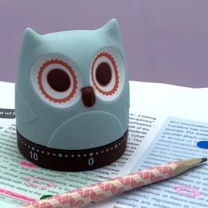 쿠킹타이머 타이머 스터디타이머 쿠킹 (부엉이) (48aQ5)