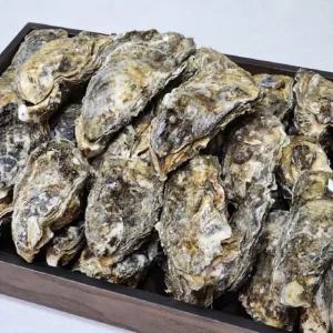 여수 겨울 제철 석화 각굴 10kg