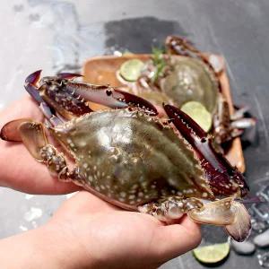 싱싱한 국내산 알배기 급냉 암꽃게 1kg 중대 사이즈