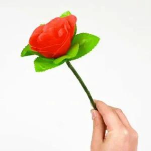 스투피드 어피어링 로즈 (장미마술)