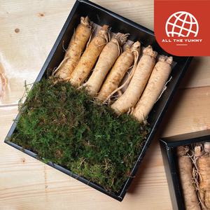 [올더야미] 풍기인삼 6년근 삼우리 수삼 인삼선물세트 블랙라벨 750g(11-14뿌리)