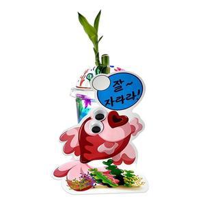[KGPP0Q80_4A]개운죽 화분만들기 해양 5EA