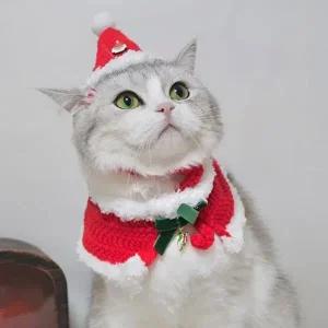 [셀러허브 패션][JHP1Q756_51CM]강아지고양이 스노우 산타모자 케이프 2종