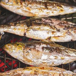 [해동찬가] 제철 돌아온 자연산 남해안 전어 구이용 1kg (500g 2팩)