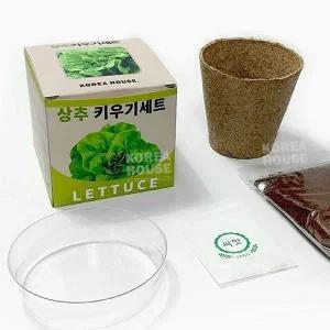 [콩심팥심]자연관찰 상추 키우기 세트 4P 텃밭 농사 식물 키트 화분재배세트
