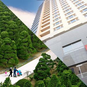 (충남) 천안 라마다호텔+2인 3인 베어트리파크 패키지 리조트 룸온리 워터파크 온천