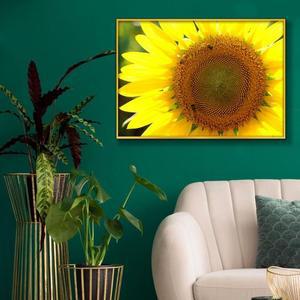 [RGM76839]2 해바라기사진 A2 골드알루미늄 풍수그림