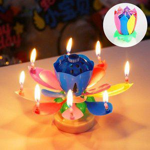 [기타]생일초 연꽃초 폭탄초 회전초 멜로디