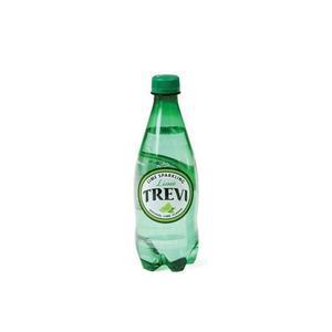 [아우트]트레비 롯데칠성음료 라임 500ml