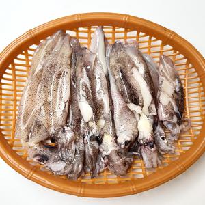 총알한치 500g 1kg 급냉 톰찜