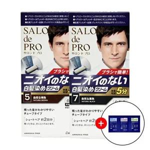 일본 살롱드프로 무향료 간편한 셀프 세치 커버 뿌리 머리염색 흰머리 새치 염색약 남성 2개