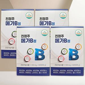 진정주 비타민B 메가B정 수험생 학생 활력 총 240정