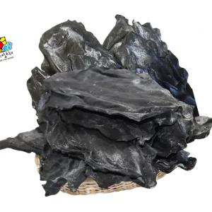 아침미소 뿌리꼭지 참다시마 1kg 육수용