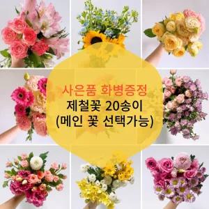 제철 꽃 20송이 + 화병 SET  (생화 무료배송 택배 플라워믹스 꽃배송 꽃배달 경매꽃 꽃다발)