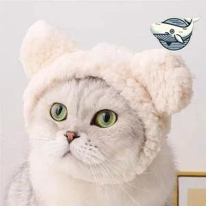[콩심팥심]귀여운 털모자 강아지 고양이 소형 애완동물 강아지모자애견모자