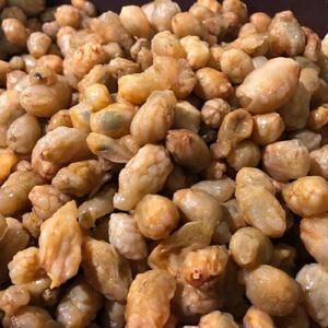 싱싱 오만둥이1kg 미더덕500g
