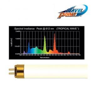 웨이브포인트 T5 고출력 [트로피칼 6500K]54W 120cm용/수족관 어항 수조 램프 4자 형광등 조명 수초 열대어
