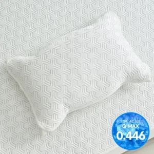 [애끌리아] 플라이토 HR 3중직 밴딩 냉감 베개덮개 2장(50X70)