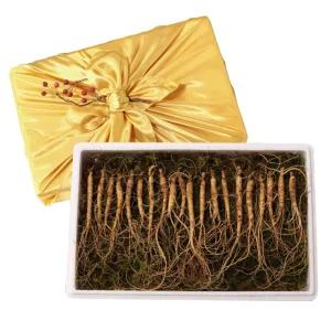 진삼애 강원도 김성태 산양삼 5~6년근 20뿌리 선물용 선물세트 자연산 산삼 산양산삼 장뇌삼