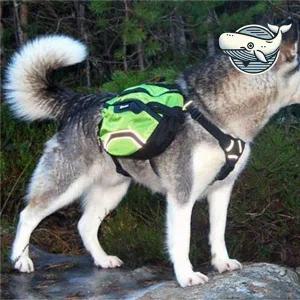 [셀러에이드]편리한 반사경 반려견 배낭 산책용 휴대 가방 강아지산책가방