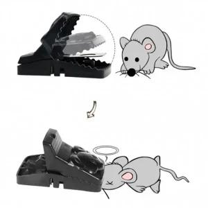 다잡아 간편 더블스프링 쥐덫 쥐잡이 쥐약 쥐퇴치기_23304661