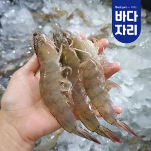 [바다자리](마산점)국산 활새우 1kg (33미 내외)새우구이 국산새우
