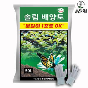 흙닷컴 솔림 배양토 대용량 50L 화분 분갈이 흙 장갑