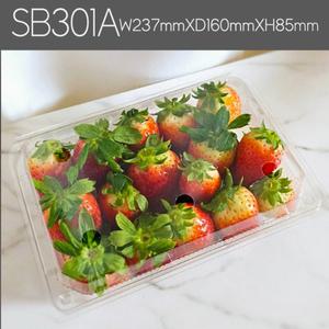 과일포장 딸기 1kg 200개 투명 플라스틱 포장 사각 용기 SB301A