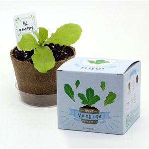 팜팜농장 상추 모종키우기 DIY 홈가드닝 채소 재배키트