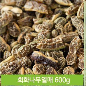 콩모양 회화나무열매 600g 마시는차 식수 건조 중국산