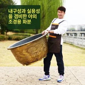 원형 항아리 대형 연꽃 수련 베란다 연못 야외