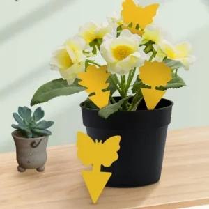 초강력 초파리트랩 안심 날파리제거 날벌레트랩_23304215