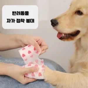강아지 코반 발  일회용 신발 손가락 탄력 테이프 산책 양말 의료용 동물 병원 용품 AA0091