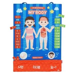 벽걸이차트 나의몸배우기 신체기관 펠트교구 학습벽보 (WD9FB66)