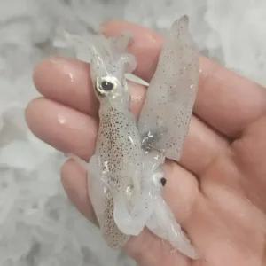 싱싱햇 국산 생물 횟감 호래기 꼴뚜기 500g