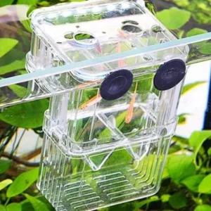 관리용 물고기 격리통 소형 수조 커버 수조용 보호커버 구피 치어 부화통