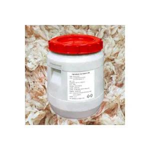 (중급) 베트남 새우젓 20kg