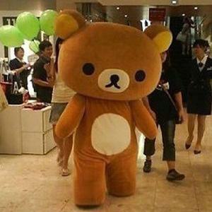 인형탈 파티 코스튬 크리스마스 귀여운 곰 인형 렌탈 기본곰 M-L사이즈