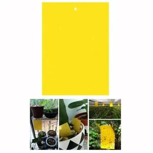 파리 해충 끈끈이 테이프 걸이 벌레 제거 소형 10매