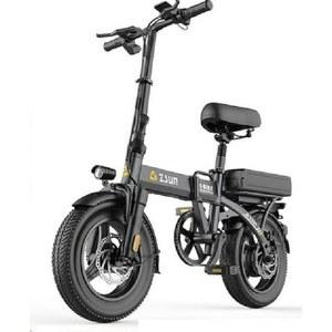 전기 자전거 접이식 당일출고 배달용 옵션 출퇴근 L20 MAX 비교분석 페그 고출력