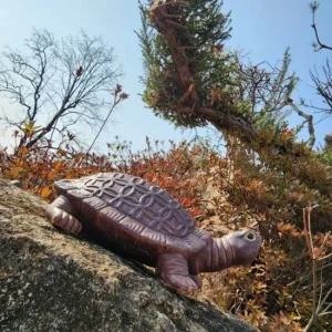생기 도자기 풍수소품 재물운 돈거북 돌거북 26cm 개 풍수소품 거북이 돌거북 재물운 금전운